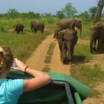 6 Days Uganda Safari-Murchison Falls National Park-Adventures