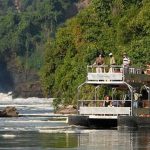 2 Days Murchison Falls Safari-Murchison Falls National Park