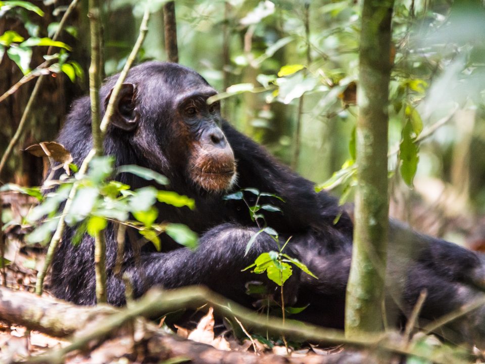 Uganda’s Hidden Gems