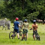 Lake Mburo-Wildlife in Lake Mburo Park