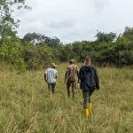 Hire a Car and Driver- Road Trip vs Guided Safari