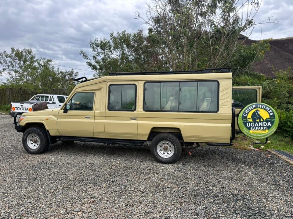 4x4 Vehicles-Time Gorilla Trekking