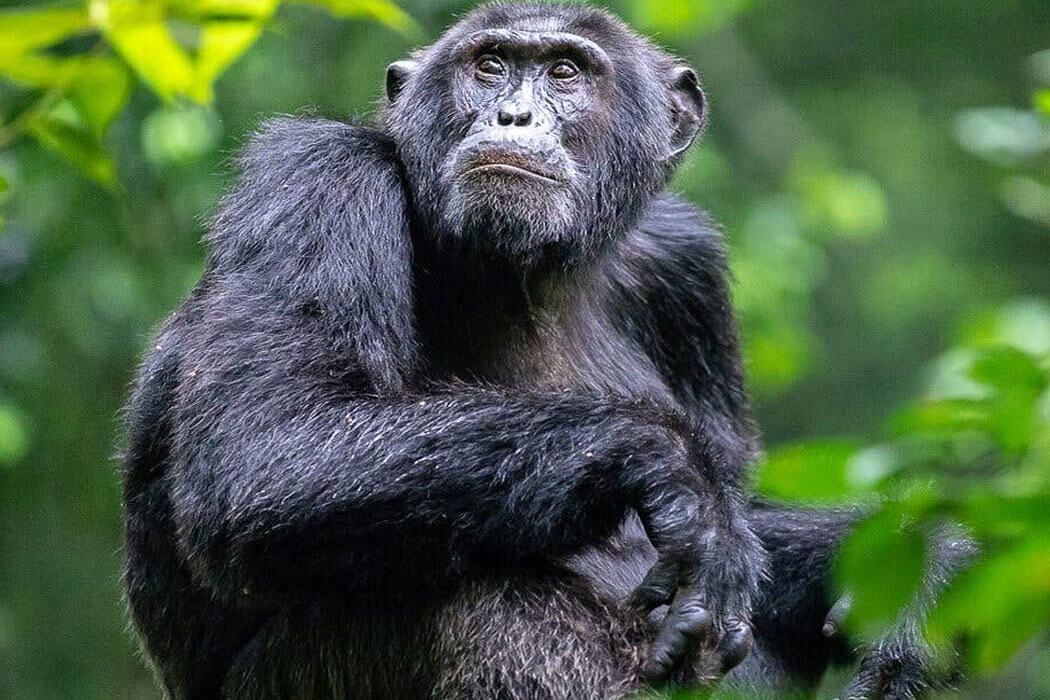 Rwanda's Best Day Trips