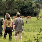 Uganda Safari- Family Uganda Safari
