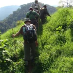 Mount Bisoke