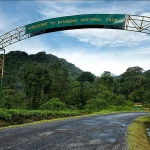 Rwanda Safaris.