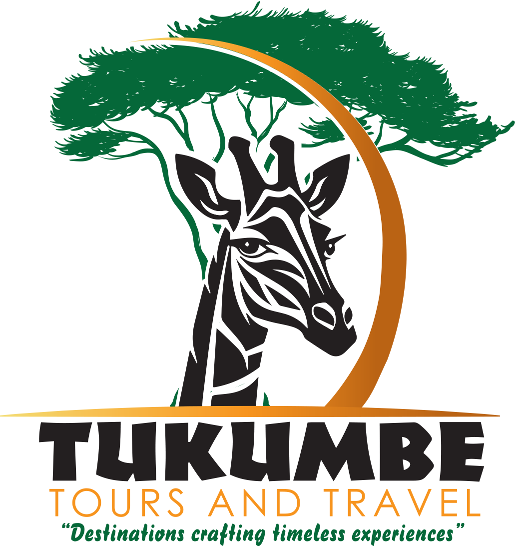 LOGO CREATION TRAVEL final