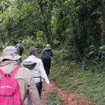 Group joining safari in Uganda with travelers exploring wildlife