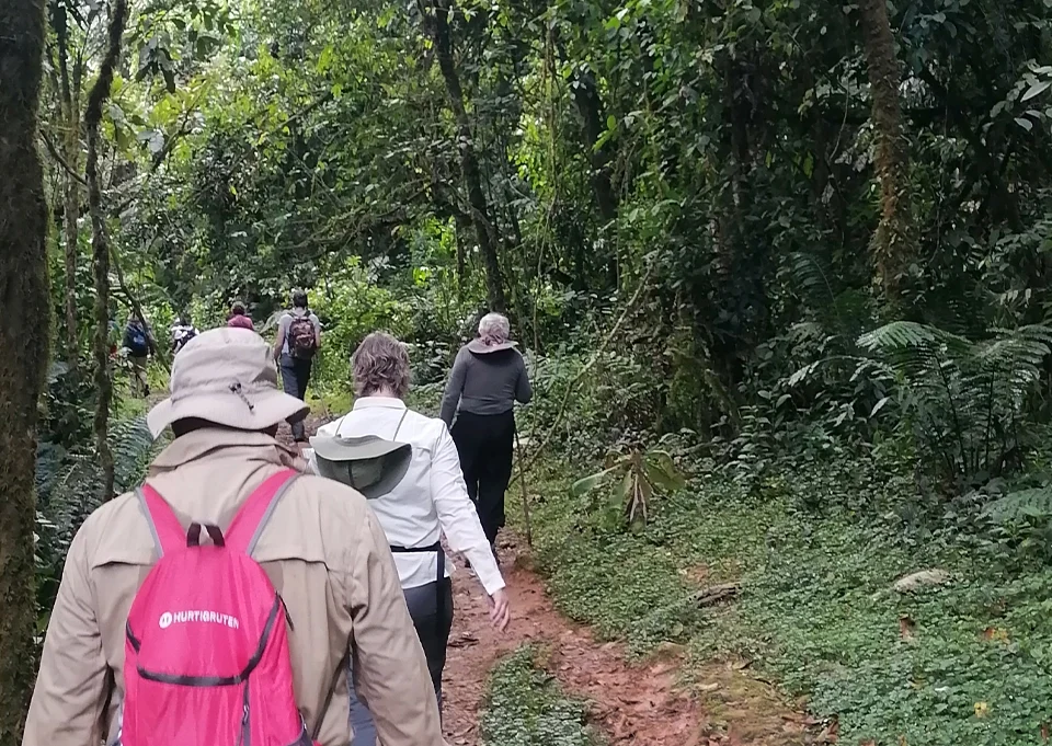 Group joining safari in Uganda with travelers exploring wildlife