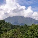 How Uganda is marketing the Pearl of Africa through tourism