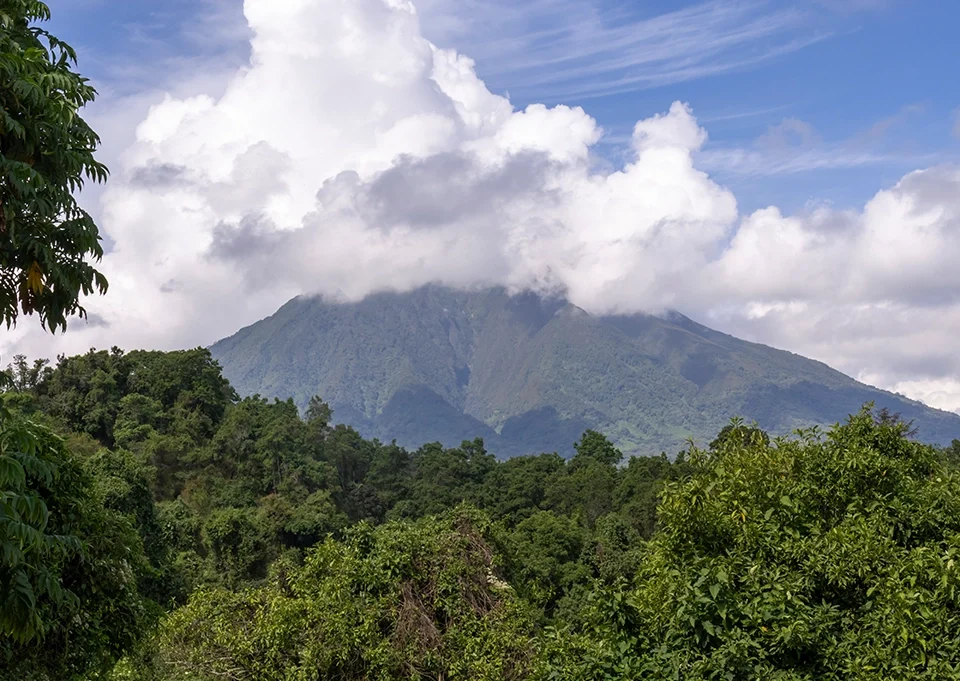 How Uganda is marketing the Pearl of Africa through tourism
