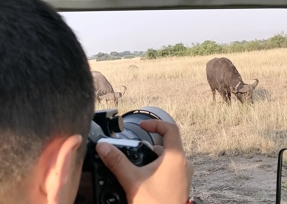 Best Uganda safari destinations for first-time visitors