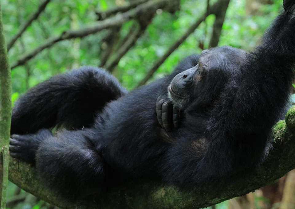 Payment methods available for booking a Uganda safari with Tukumbe Tours & Travel