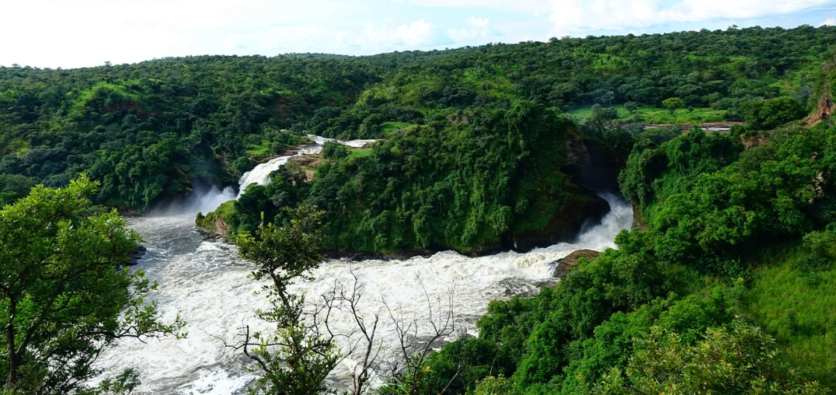 Murchison Falls National Park Uganda safari