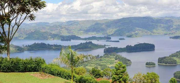 Tourists enjoying Uganda's lush green landscapes during a safari