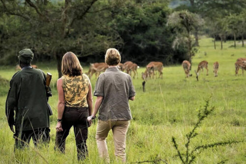 Uganda travel advisory for Canadians planning a safari and holiday in Uganda